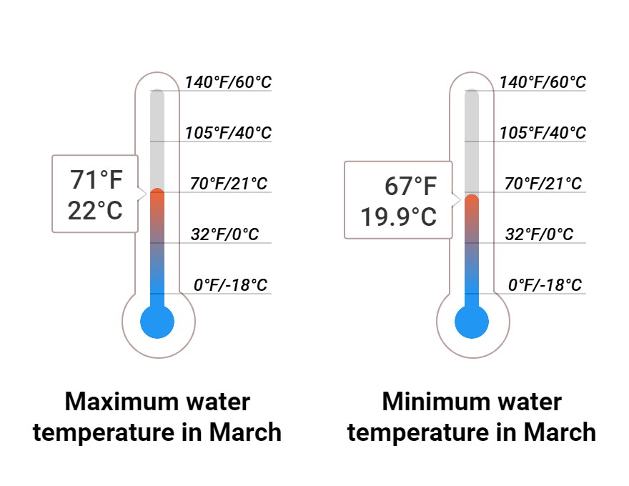 Average Sea temperature